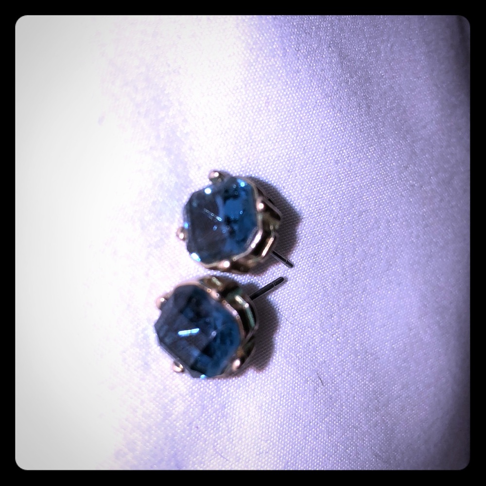 Deep blue post earrings